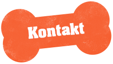 https://www.frag-karlchen.de/wp-content/uploads/2023/06/Knochen.png