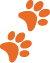 Spuren-50-orange https://www.frag-karlchen.de/wp-content/uploads/2024/01/Spuren-50-orange.png